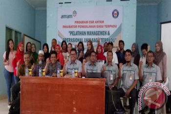 Antam Kembangkan Inkubator Usaha Sagu Terpadu