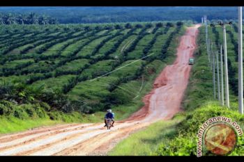 Rendah, Penerimaan Pajak dari Perkebunan 