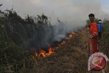 Gubernur Riau Tetapkan Status Siaga Darurat Karhutla 2017