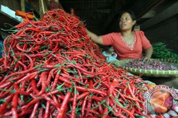 Harga Cabai di Kebumen Naik