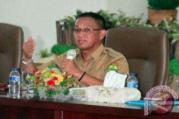 Kayu Sisa Cetak Sawah Lingga Dibuat Triplek