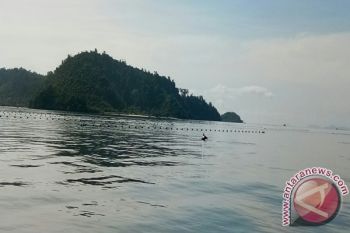 Selangkah Lagi, Lumba-lumba Asia Punah