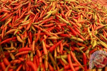 Harga Cabai di Pekalongan Terasa Pedas Rp120.000/Kg