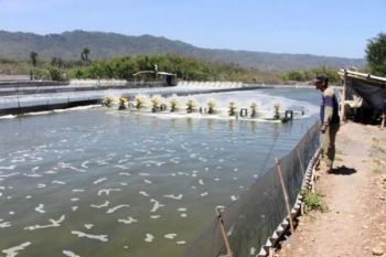 Warga Keluhkan Tambak di Pesisir Pesawaran Lampung 