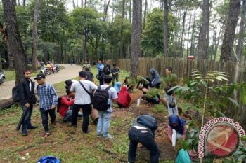 Wisatawan mancanegara tanam pohon Rinjani