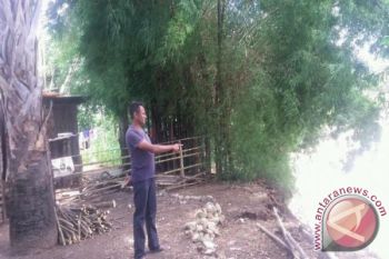 Warga Fatubanao Belu Tolak Direlokasi