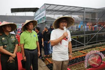 Balitbangda Makassar Diminta Teliti Cabai BULo