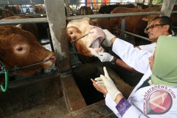 Pencegahan Antraks Perlu Kerja Sama Menyeluruh