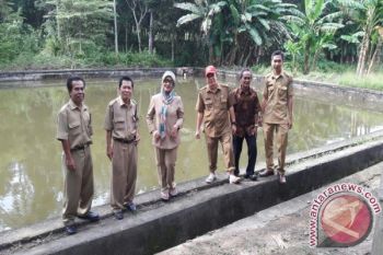 Ogan Komering Ulu akan budidayakan ikan gabus