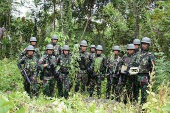 Satgas Pamtas RI-PNG temukan ladang ganja di Kalibom 