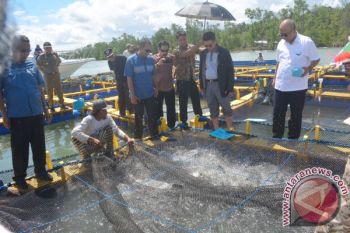 Nelayan akan Dapat Bantuan Genset--Gubernur Berharap Produktivitas Perikanan Tangkap Meningkat