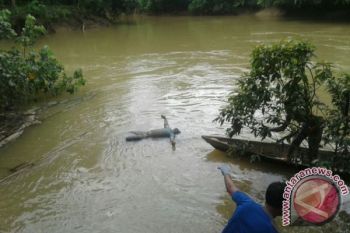 Pencuri Sarang Walet Tertangkap di Bartim, Satu Ditemukan Tewas
