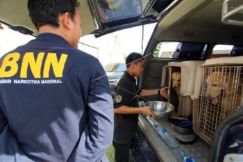 Seorang WN Malaysia tewas ditembak BNN