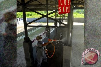 Kulon Progo lakukan vaksinasi ternak kawasan antraks 