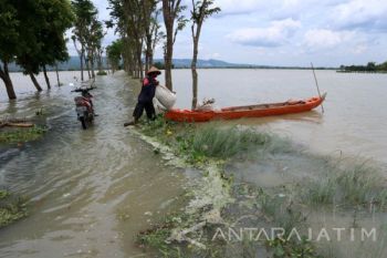 Banjir Bengawan Solo di Hilir Jatim Surut
