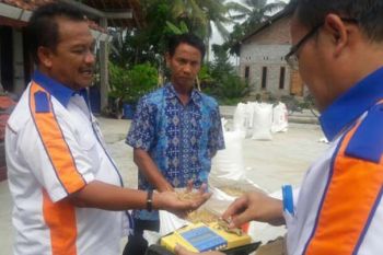 Bulog Subdivre Kedu Mulai Serap Gabah Petani