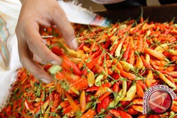 Harga Cabai di Boyolali Naik Rp70.000/Kg