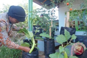 Atasi Penyusutan Lahan, Hendi Dorong "Urban Farming"