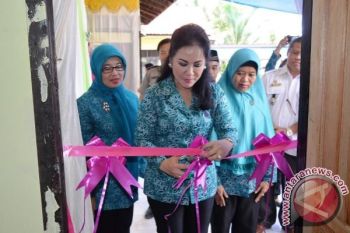 PAUD, Posbindu dan Posyandu Desa Pulau Telo Diresmikan.