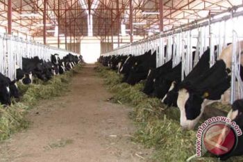PT Asiabeef Biofarma Bangun Balai Latihan Peternakan