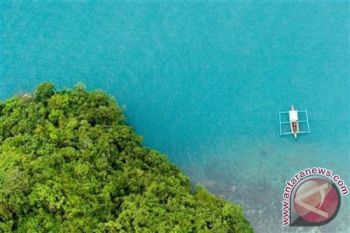 Padang lamun di Teluk Ambon terancam