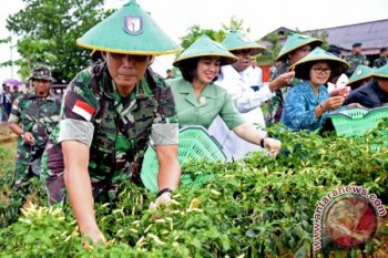 Govt leans on development agenda to push Papua autonomy