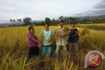Legislator: Pemkab Tingkatkan Pertanian Tanpa Bahan Kimia 