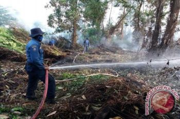 Waduh! Kebakaran Lahan Mulai Marak Di Kotim, Diduga Sengaja Dibakar