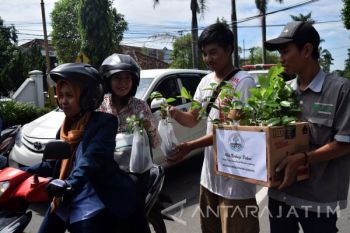 Aksi Bagi Pohon Jombang