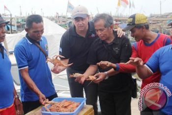 Importir Dukung Koperasi Nelayan Rajungan Lampung Timur
