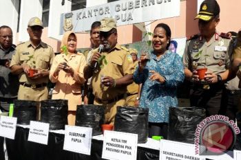 Ibu-ibu di Papua pun tanam cabai 