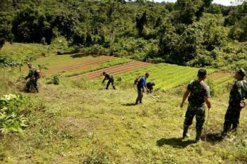 Kodim Biak Numfor bantu petani olah lahan sawah