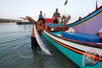 Nelayan Kota Kupang Kembali Melaut 
