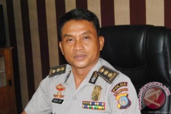 Polda Ultimatum Penambang Emas Liar Di Poboya