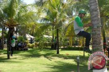 Harga Naik, Petani Kelapa dan Kopra Gembira