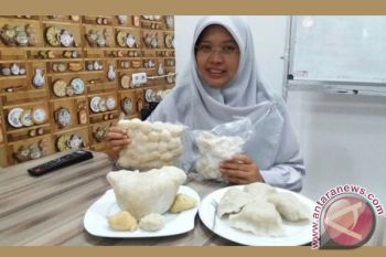 Pempek Bunda Ratu Palembang diminati luar daerah 