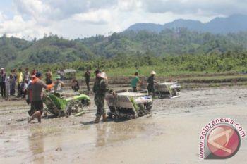 Dampak kekeringan di NTT masih normal