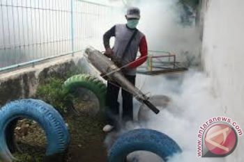 Dinas Kesehatan Sultra Ingatkan Warga Waspadai DBD