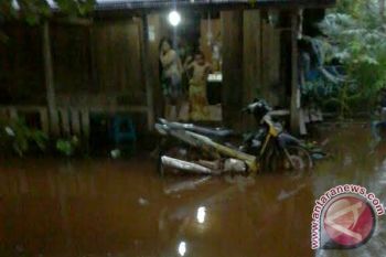 Puluhan Rumah Di Kotawaringin Timur Terendam Banjir 