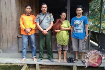 Warga Kotawaringin Timur Serahkan Dua Anak Orangutan 