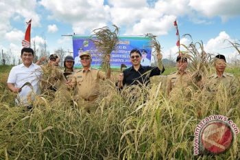 Kementan Optimis Kepri Swasembada Beras Organik 2018