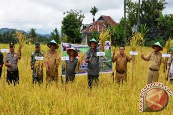 Jalur Utama Terputus