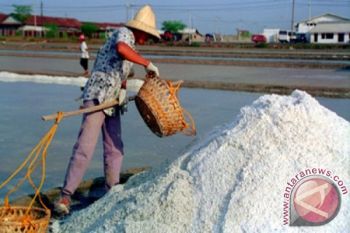 Peluang Investasi Garam Masih Terbuka