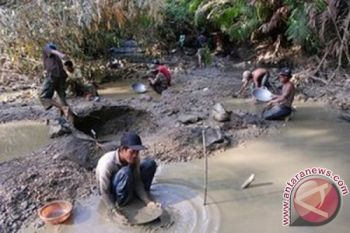 BLH Dharmasraya Lakukan Pemulihan Lahan Bekas Tambang