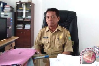 PAD Sektor Perizinan Barito Selatan Optimistis Capai Target 