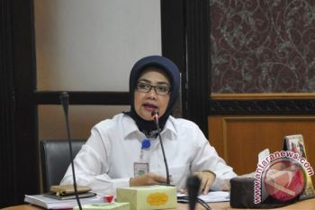 Pemprov Sumsel tawarkan KEK kepada investor