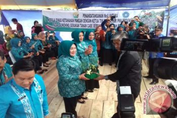 Gubernur Minta Tanam 10 Cabai Tiap Pekarangan 