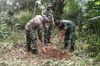 Kodim Boven Digoel tanam 600 bibit pohon 