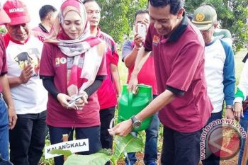 BUPATI TANAH LAUT MELAKUKAN PENANAMAN POHON