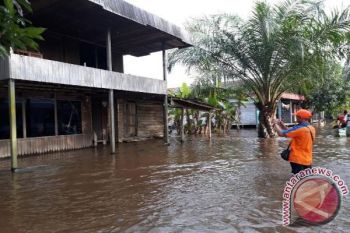 Langganan Banjir! Anggota DPRD Ini Minta Pemkab Kotim Serius Tangani Banjir 